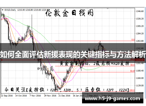 如何全面评估新援表现的关键指标与方法解析 如何全面评估新援表现的关键指标与方法解析