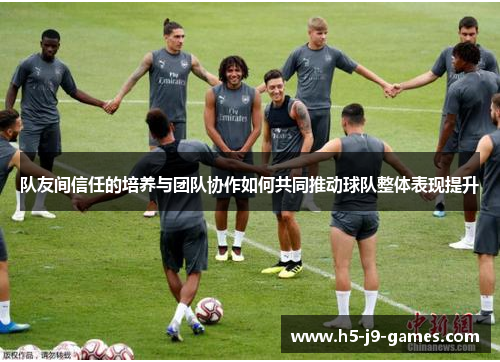 队友间信任的培养与团队协作如何共同推动球队整体表现提升