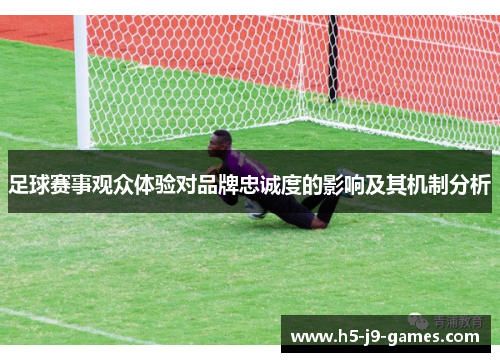 足球赛事观众体验对品牌忠诚度的影响及其机制分析